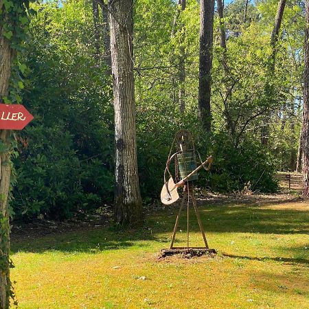 Le Petit Poulailler Au Beau Milieu Des Pins Lacanau Exterior photo