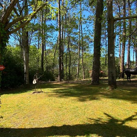 Le Petit Poulailler Au Beau Milieu Des Pins Lacanau Exterior photo