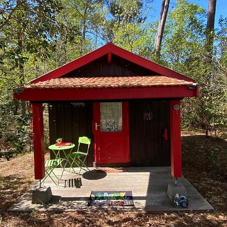 Le Petit Poulailler Au Beau Milieu Des Pins Lacanau Exterior photo
