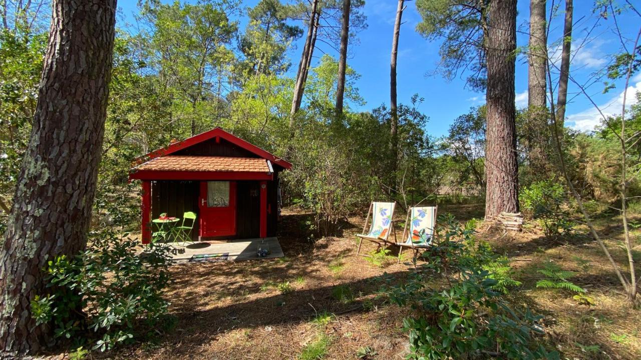 Le Petit Poulailler Au Beau Milieu Des Pins Lacanau Exterior photo