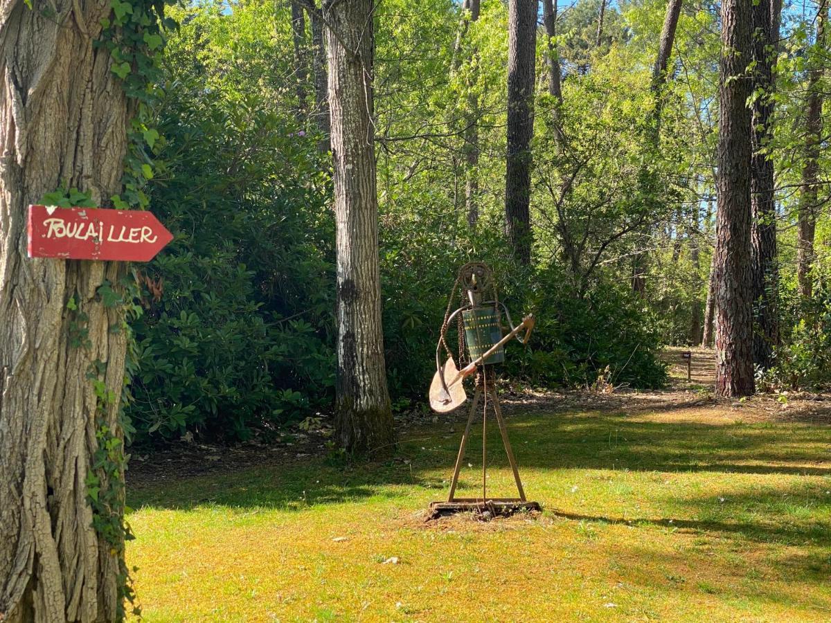 Le Petit Poulailler Au Beau Milieu Des Pins Lacanau Exterior photo