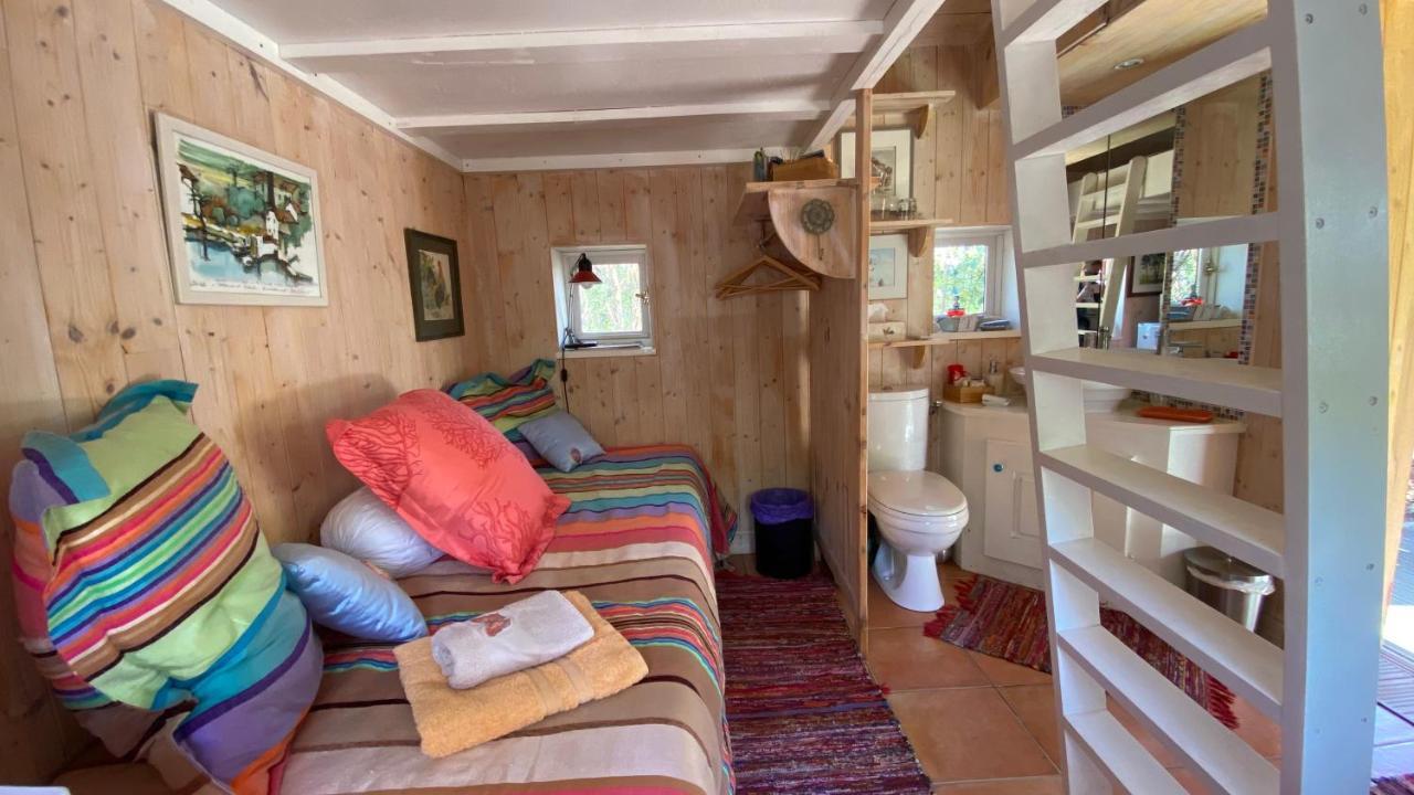 Le Petit Poulailler Au Beau Milieu Des Pins Lacanau Exterior photo