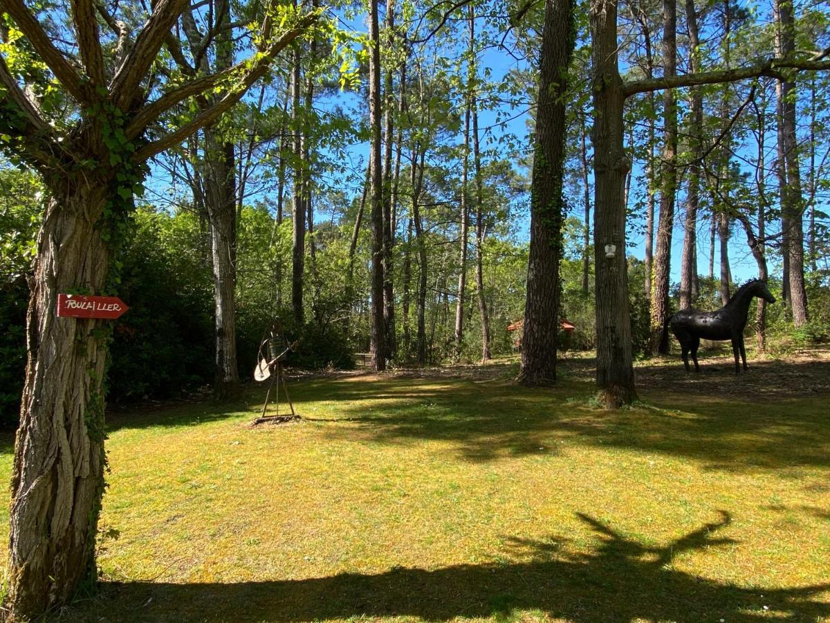 Le Petit Poulailler Au Beau Milieu Des Pins Lacanau Exterior photo