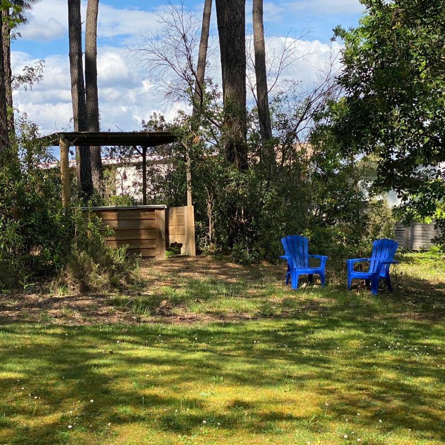 Le Petit Poulailler Au Beau Milieu Des Pins Lacanau Exterior photo
