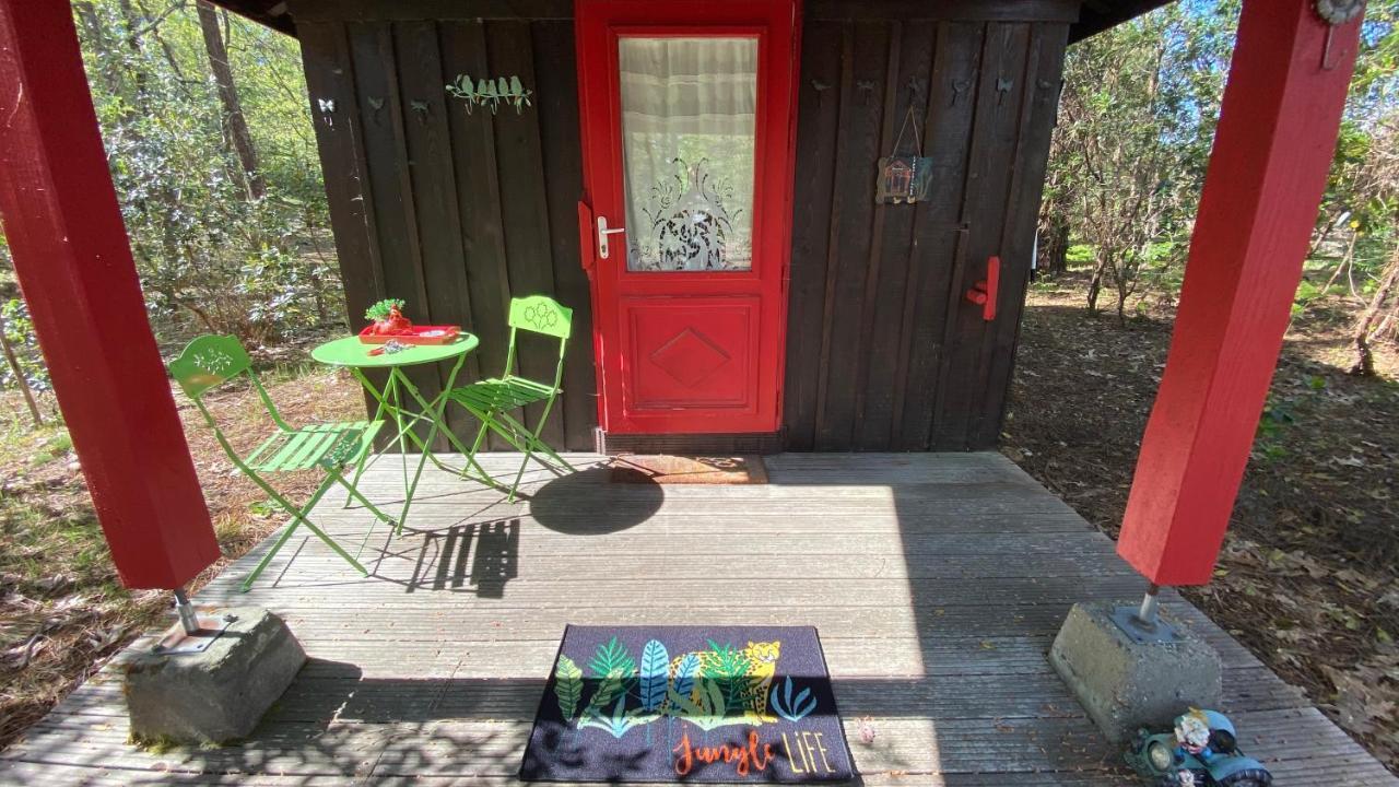 Le Petit Poulailler Au Beau Milieu Des Pins Lacanau Exterior photo