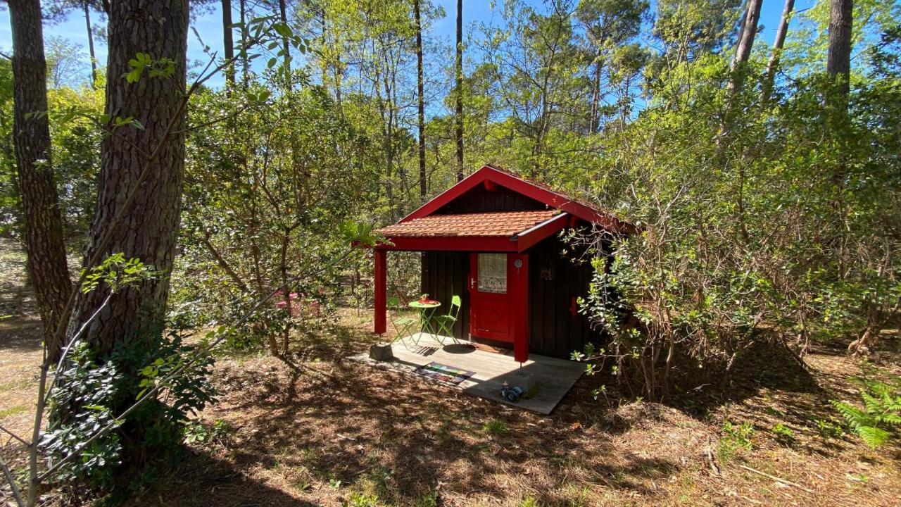 Le Petit Poulailler Au Beau Milieu Des Pins Lacanau Exterior photo