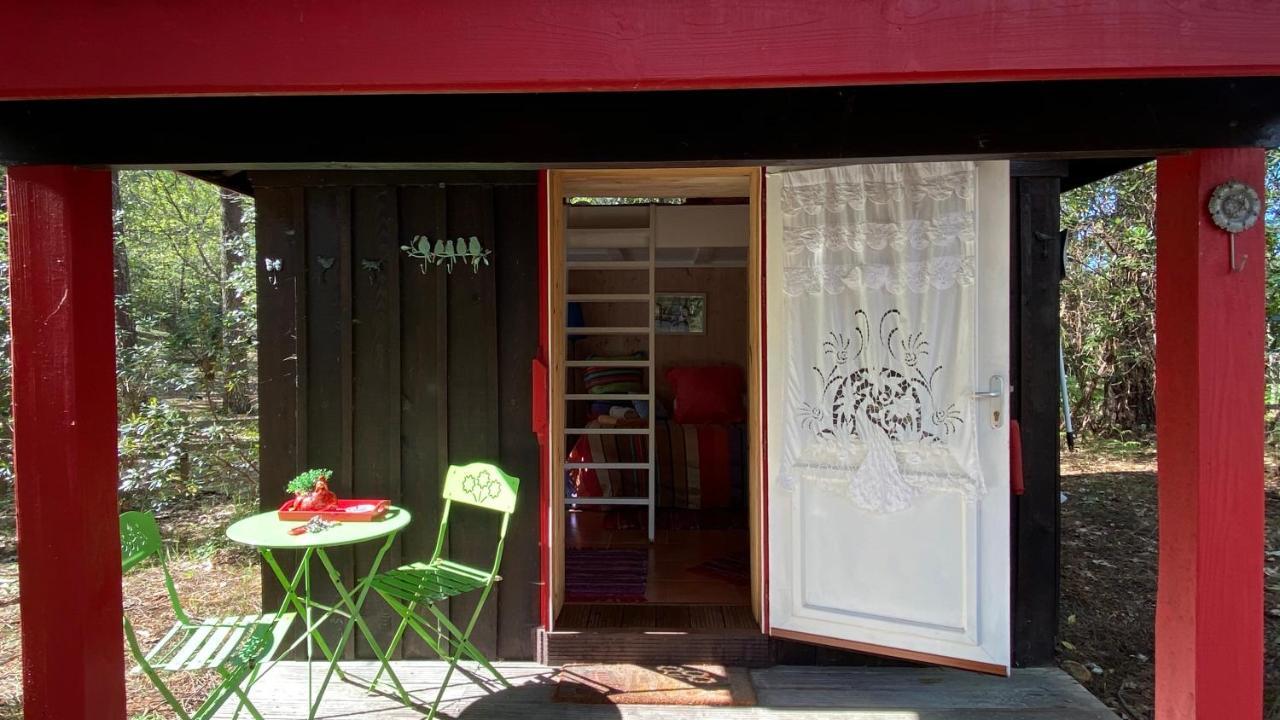 Le Petit Poulailler Au Beau Milieu Des Pins Lacanau Exterior photo