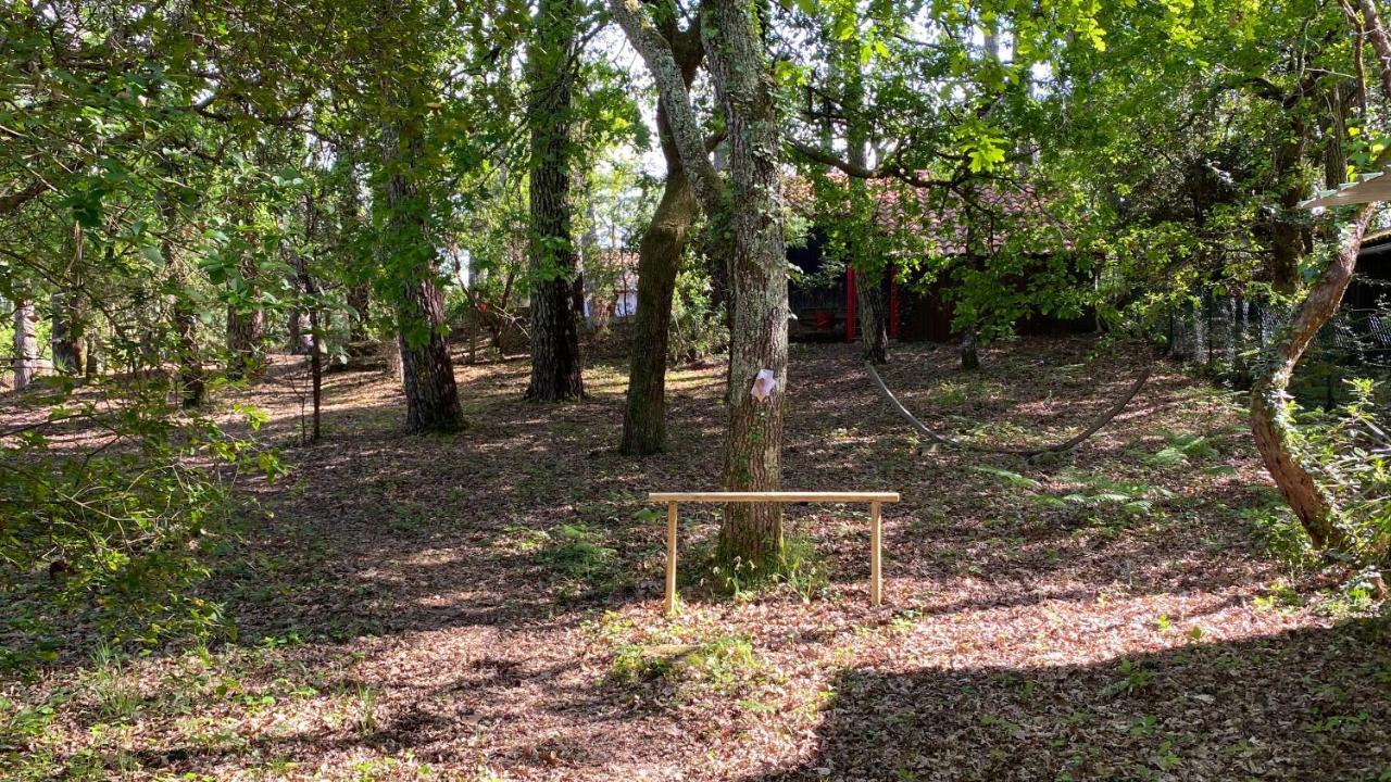 Le Petit Poulailler Au Beau Milieu Des Pins Lacanau Exterior photo