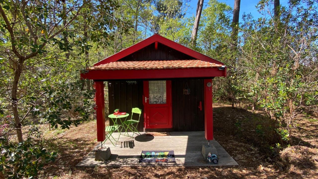 Le Petit Poulailler Au Beau Milieu Des Pins Lacanau Exterior photo
