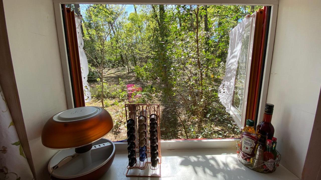 Le Petit Poulailler Au Beau Milieu Des Pins Lacanau Exterior photo