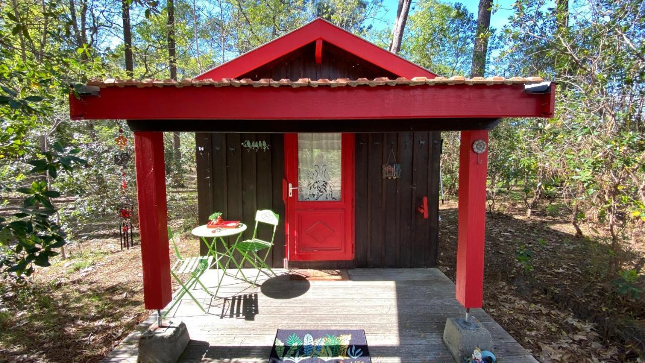Le Petit Poulailler Au Beau Milieu Des Pins Lacanau Exterior photo