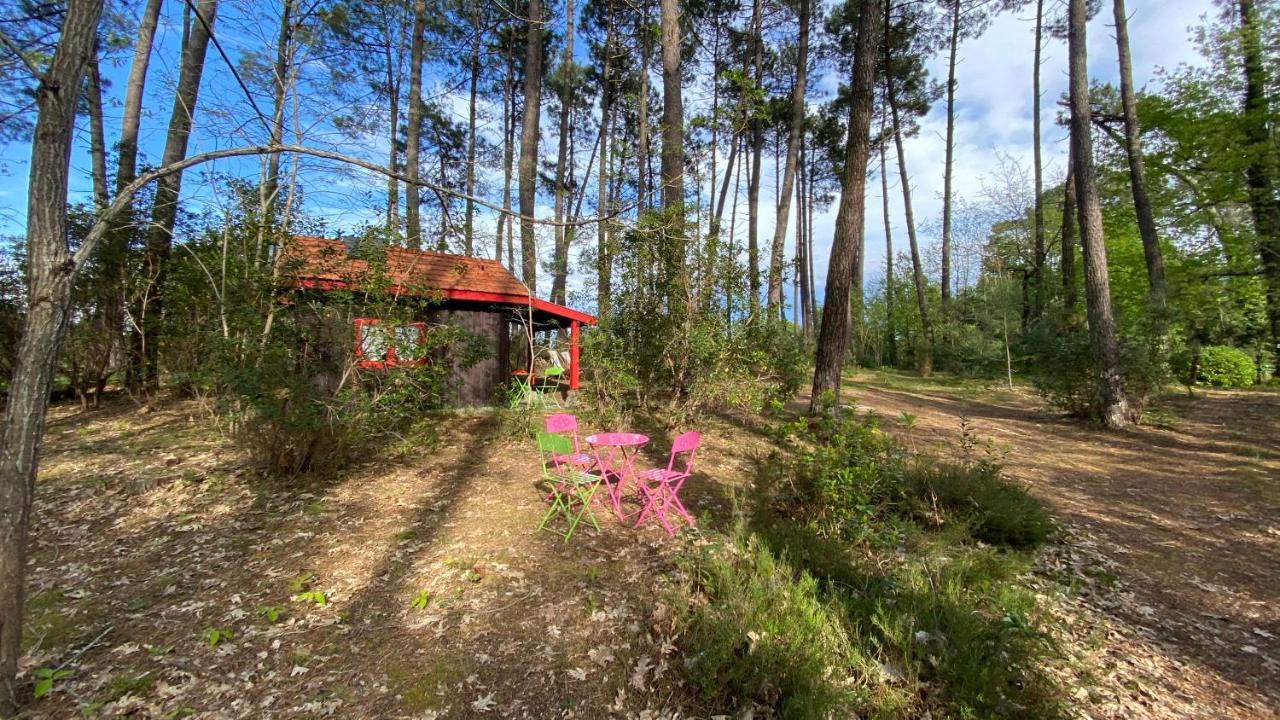 Le Petit Poulailler Au Beau Milieu Des Pins Lacanau Exterior photo