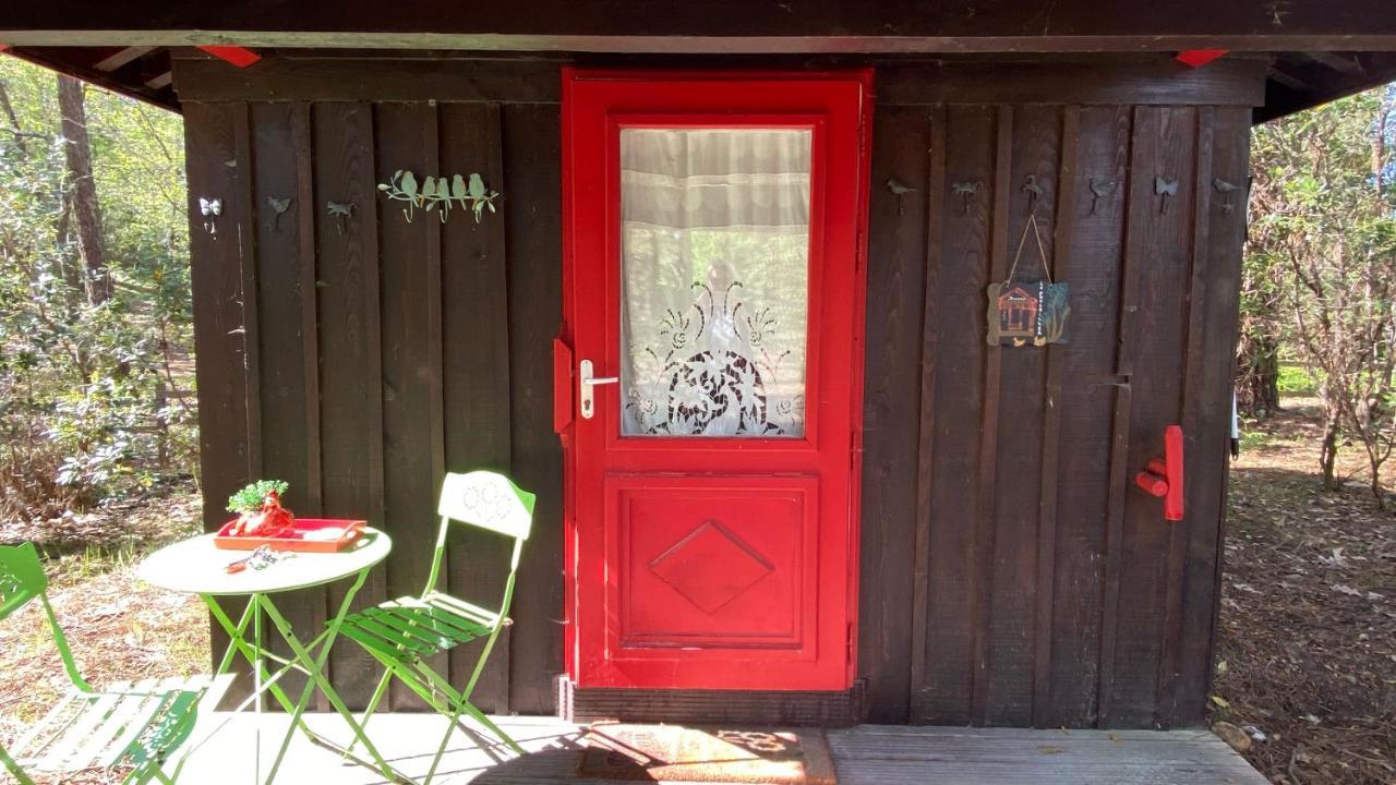Le Petit Poulailler Au Beau Milieu Des Pins Lacanau Exterior photo