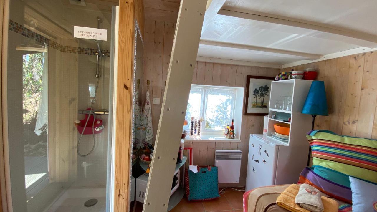 Le Petit Poulailler Au Beau Milieu Des Pins Lacanau Exterior photo