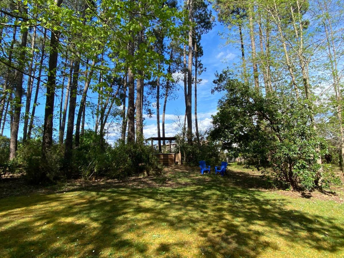 Le Petit Poulailler Au Beau Milieu Des Pins Lacanau Exterior photo